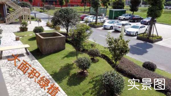  BS002 宝山 铁山路 吴淞科技园 淘宝电商科技办公厂房仓库办公楼出租